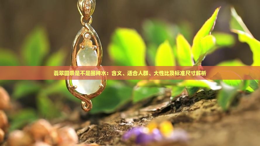 翡翠圆条是不是圈种水：含义、适合人群、大性比及标准尺寸解析
