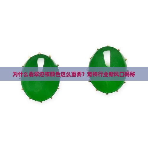 为什么翡翠边牧颜色这么重要？宠物行业新风口揭秘