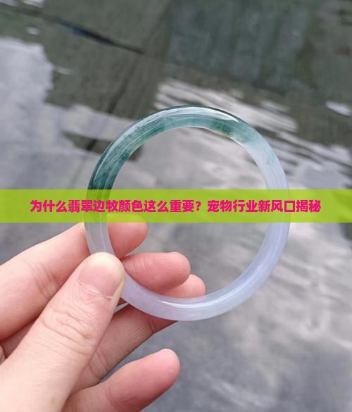 为什么翡翠边牧颜色这么重要？宠物行业新风口揭秘