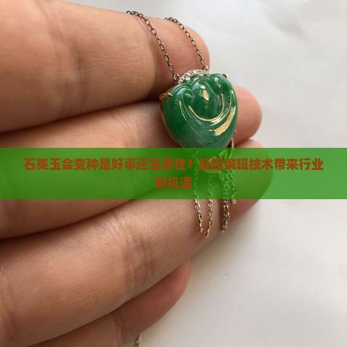 石英玉会变种是好事还是恶性？基因编辑技术带来行业新机遇