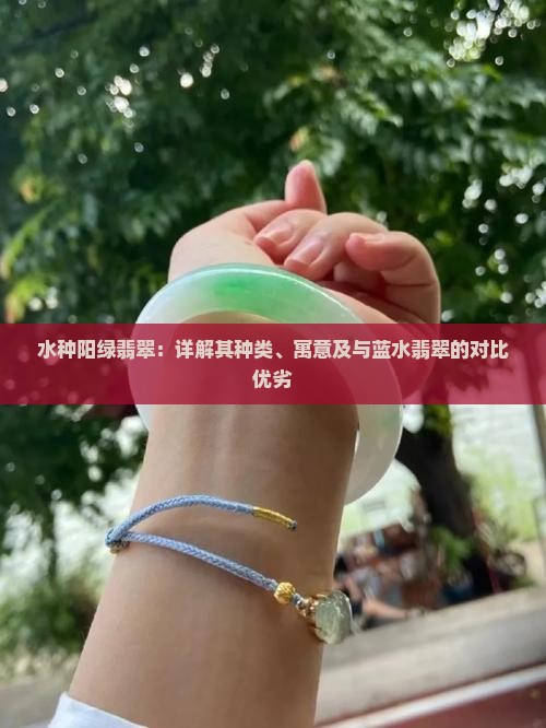 水种阳绿翡翠：详解其种类、寓意及与蓝水翡翠的对比优劣