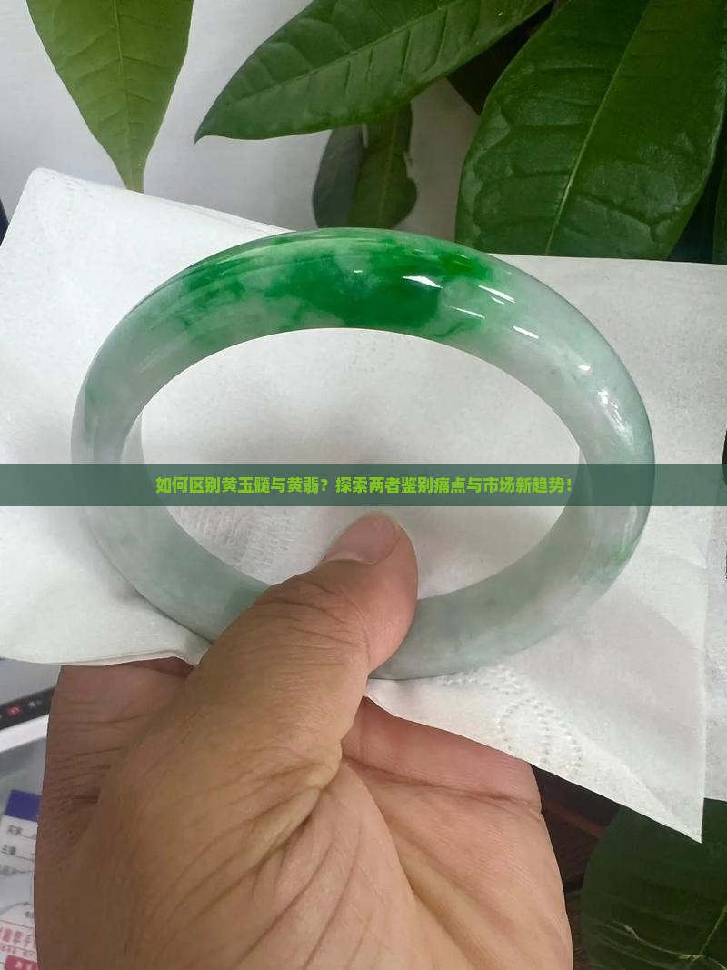 如何区别黄玉髓与黄翡？探索两者鉴别痛点与市场新趋势！