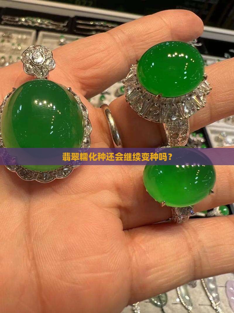翡翠糯化种还会继续变种吗？