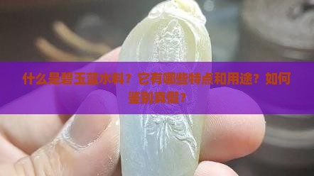什么是碧玉蓝水料？它有哪些特点和用途？如何鉴别真假？