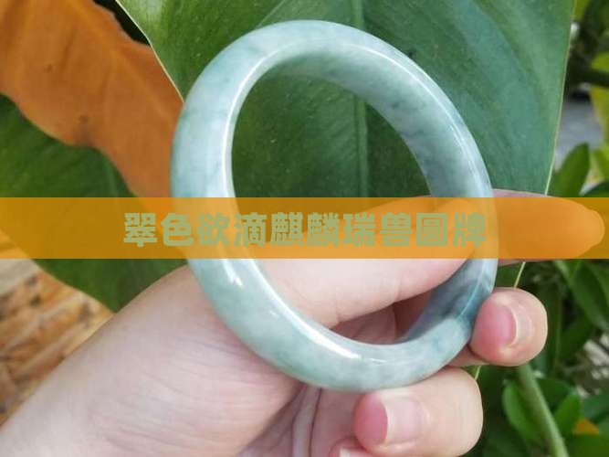 翠色欲滴麒麟瑞兽圆牌
