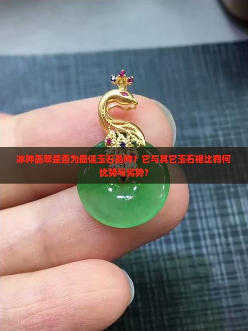 冰种翡翠是否为最佳玉石品种？它与其它玉石相比有何优势与劣势？