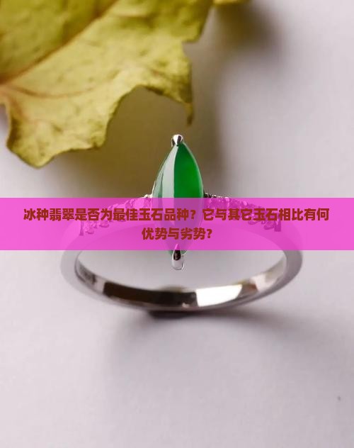冰种翡翠是否为最佳玉石品种？它与其它玉石相比有何优势与劣势？