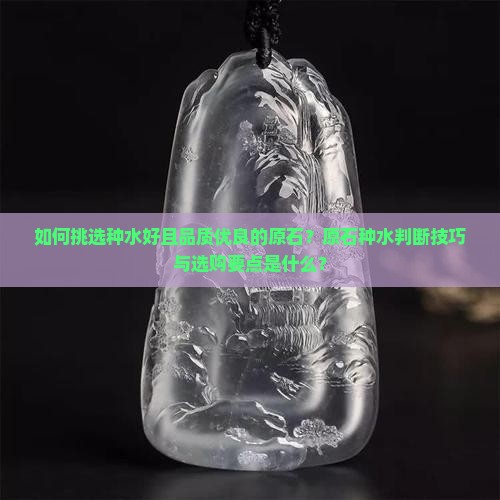 如何挑选种水好且品质优良的原石？原石种水判断技巧与选购要点是什么？