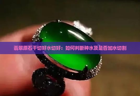 翡翠原石干切好水切好:如何判断种水及是否加水切割 翡翠原石干切好水切好:如何判断种水及是否加水切割