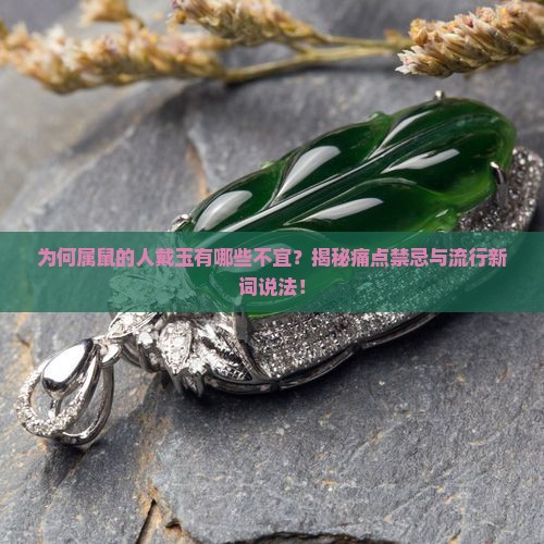 为何属鼠的人戴玉有哪些不宜？揭秘痛点禁忌与流行新词说法！