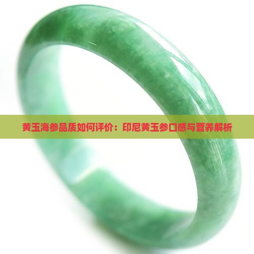 黄玉海参品质如何评价:印尼黄玉参口感与营养解析 黄玉海参品质如何评价:印尼黄玉参口感与营养解析