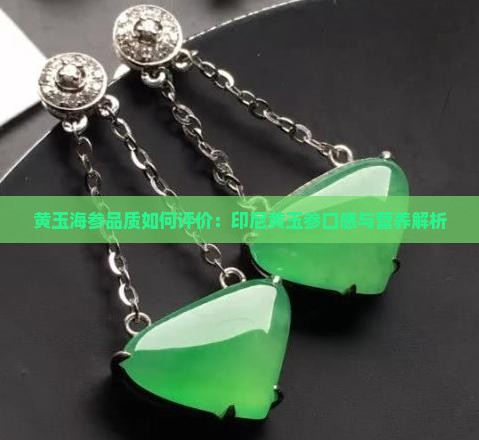 黄玉海参品质如何评价:印尼黄玉参口感与营养解析 黄玉海参品质如何评价:印尼黄玉参口感与营养解析