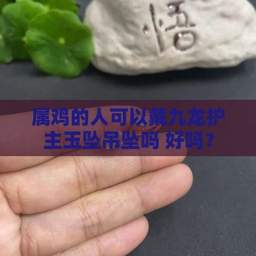 属鸡的人可以戴九龙护主玉坠吊坠吗 好吗？
