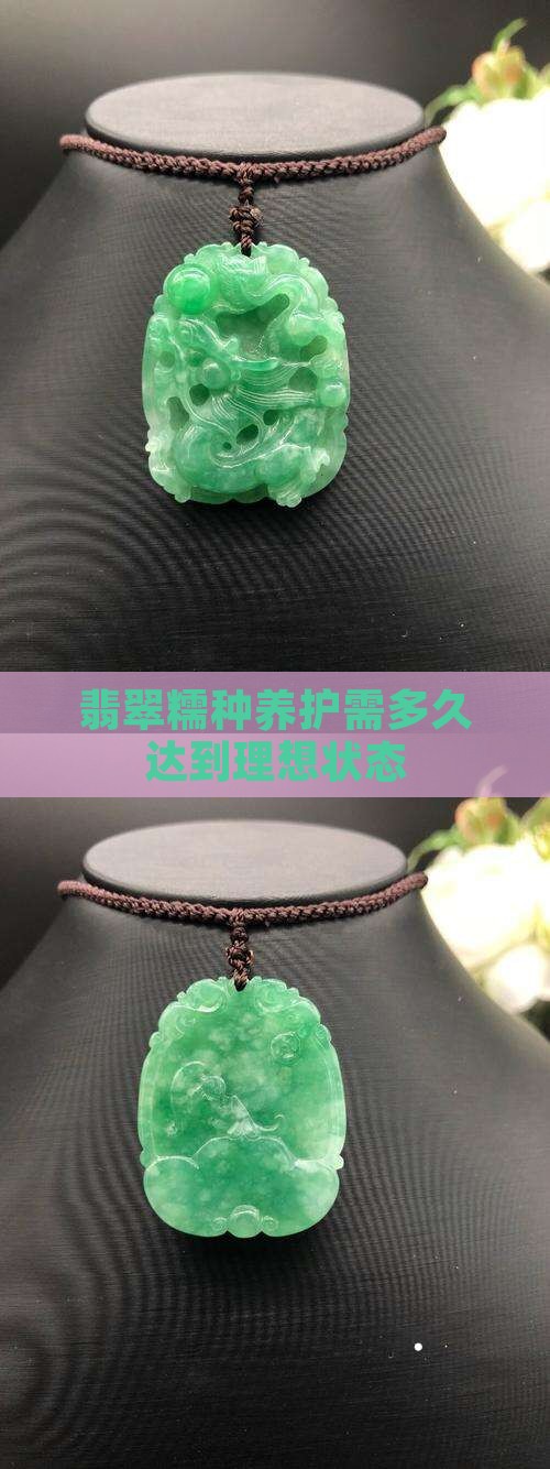 翡翠糯种养护需多久达到理想状态
