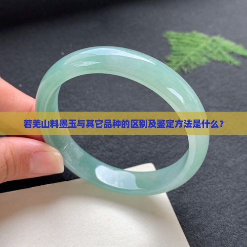 若羌山料墨玉与其它品种的区别及鉴定方法是什么？