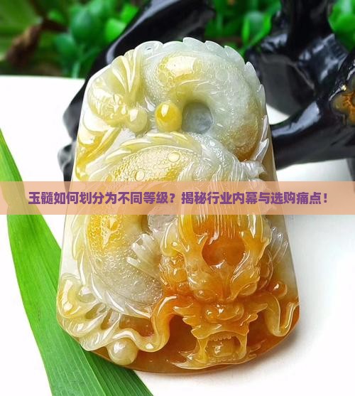 玉髓如何划分为不同等级？揭秘行业内幕与选购痛点！