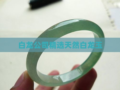 白龙公司精选天然白龙玉