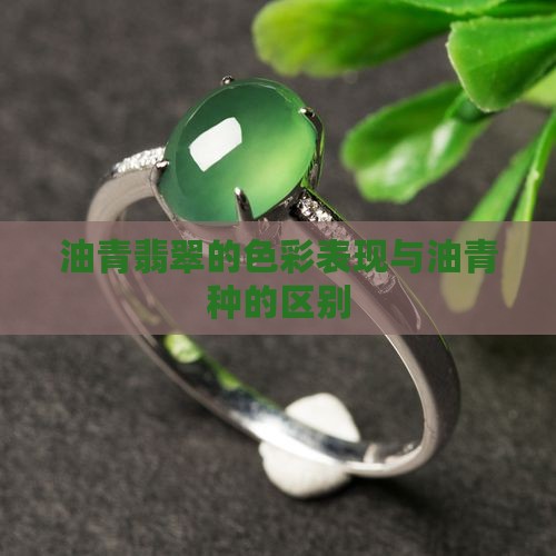 油青翡翠的色彩表现与油青种的区别