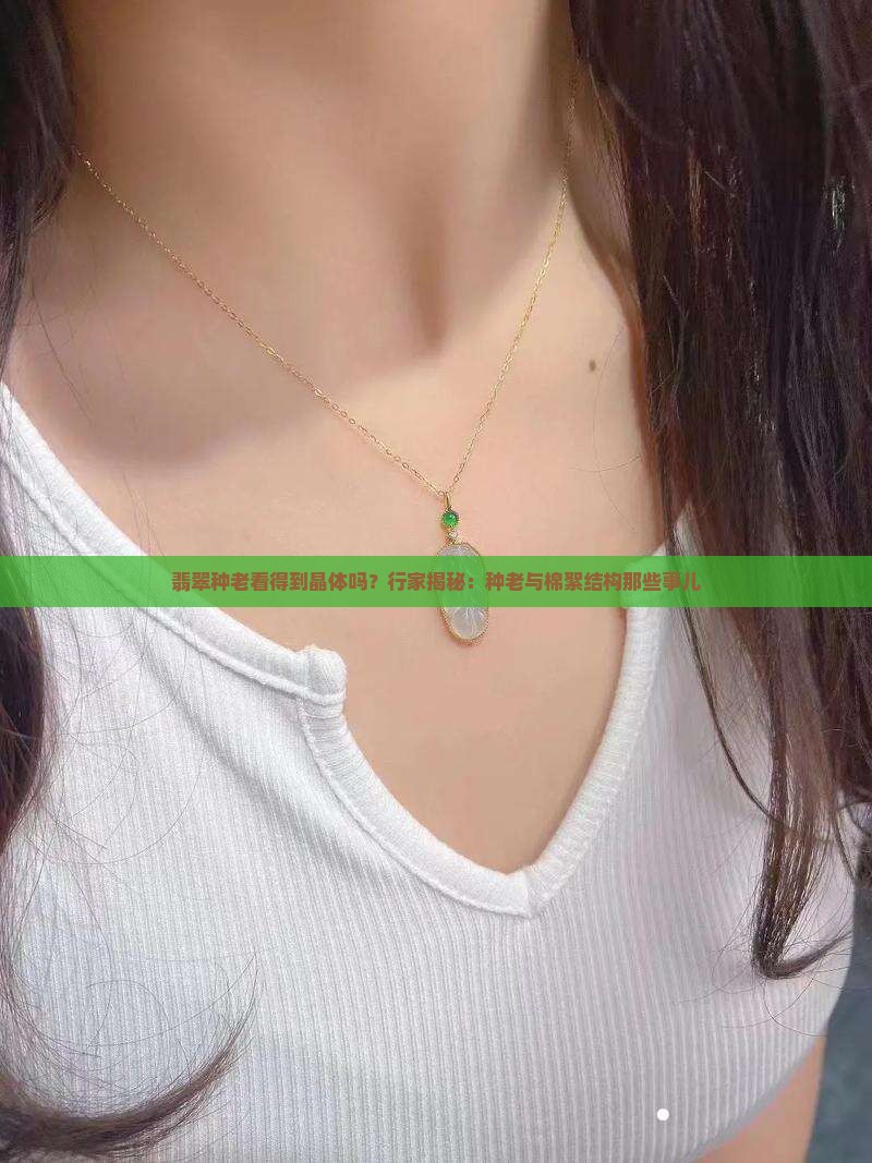 翡翠种老看得到晶体吗？行家揭秘：种老与棉絮结构那些事儿