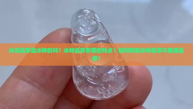 冰润翡翠是冰种的吗？冰种翡翠有哪些特点？如何辨别冰种翡翠与普通翡翠？