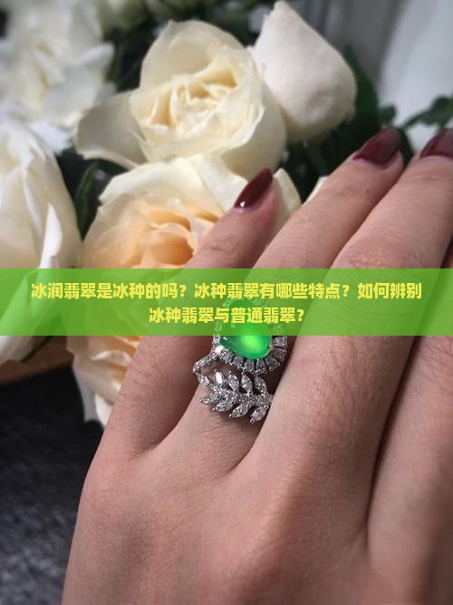 冰润翡翠是冰种的吗？冰种翡翠有哪些特点？如何辨别冰种翡翠与普通翡翠？