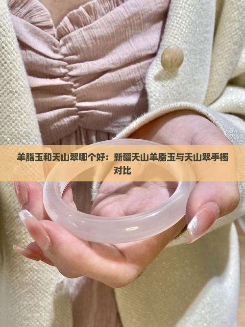 羊脂玉和天山翠哪个好：新疆天山羊脂玉与天山翠手镯对比