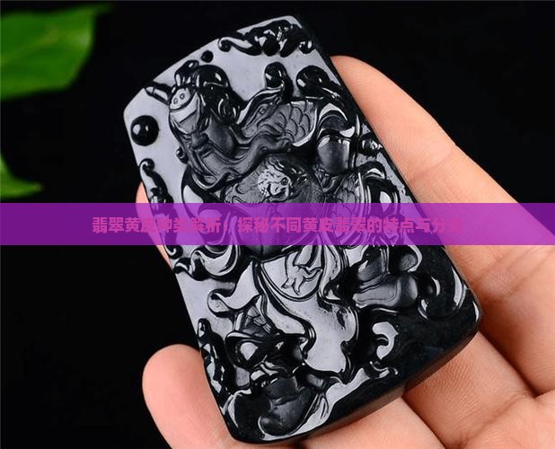 翡翠黄皮种类解析：探秘不同黄皮翡翠的特点与分类