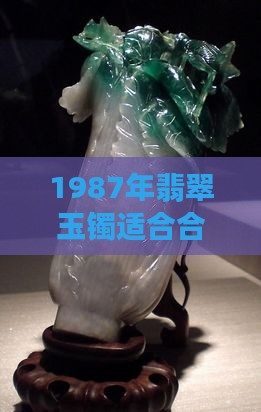 1987年翡翠玉镯适合合带哪只手才更吉祥