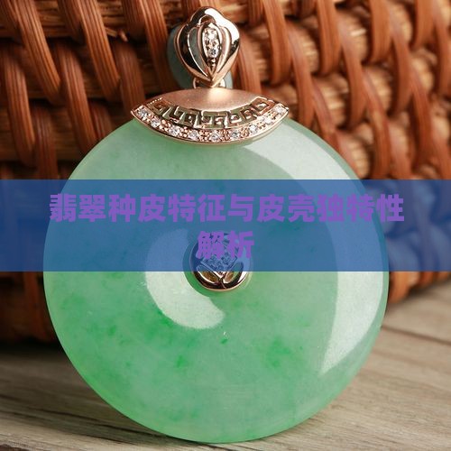 翡翠种皮特征与皮壳独特性解析