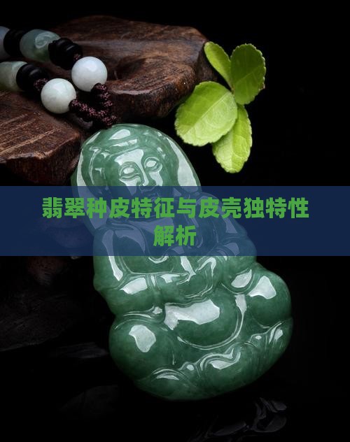 翡翠种皮特征与皮壳独特性解析