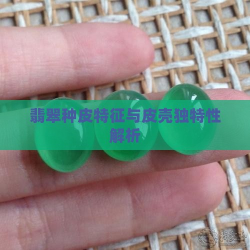 翡翠种皮特征与皮壳独特性解析