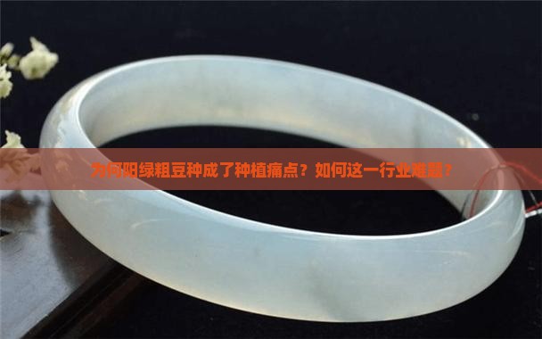 为何阳绿粗豆种成了种植痛点？如何这一行业难题？