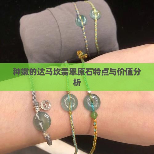 种嫩的达马坎翡翠原石特点与价值分析