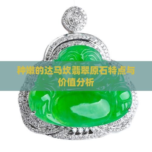 种嫩的达马坎翡翠原石特点与价值分析