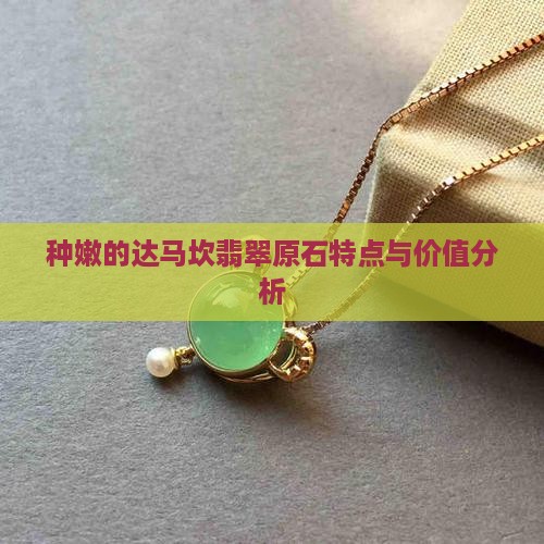 种嫩的达马坎翡翠原石特点与价值分析