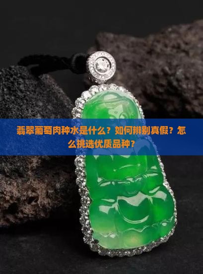 翡翠葡萄肉种水是什么？如何辨别真假？怎么挑选优质品种？