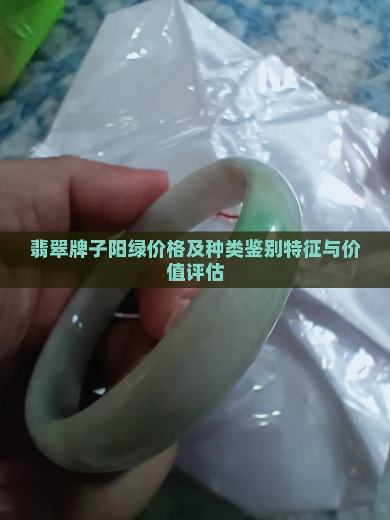 翡翠牌子阳绿价格及种类鉴别特征与价值评估