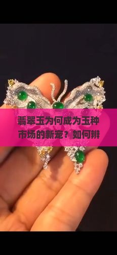翡翠玉为何成为玉种市场的新宠？如何辨别其珍贵程度？
