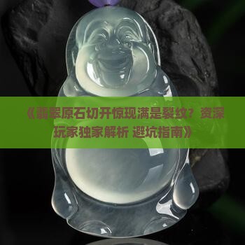 翡翠原石切了一刀全是裂纹