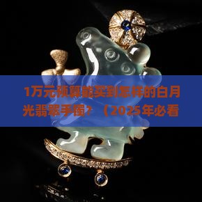 1万左右的白月光翡翠手镯
