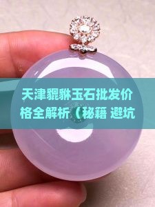 天津貔貅玉石