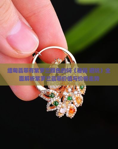 缅甸翡翠有紫罗兰颜色的吗 缅甸翡翠有紫罗兰颜色的吗