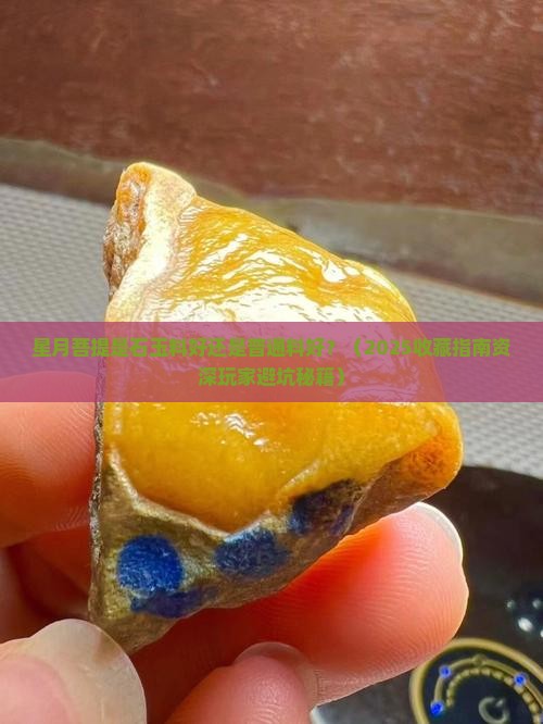 星月菩提石玉料和普通料