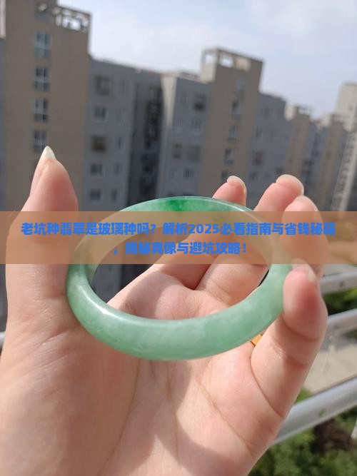 老坑种翡翠是玻璃种吗好吗