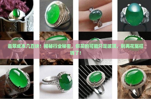 翡翠成本几百块