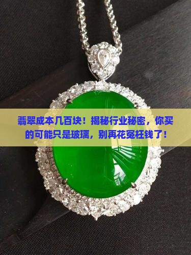 翡翠成本几百块