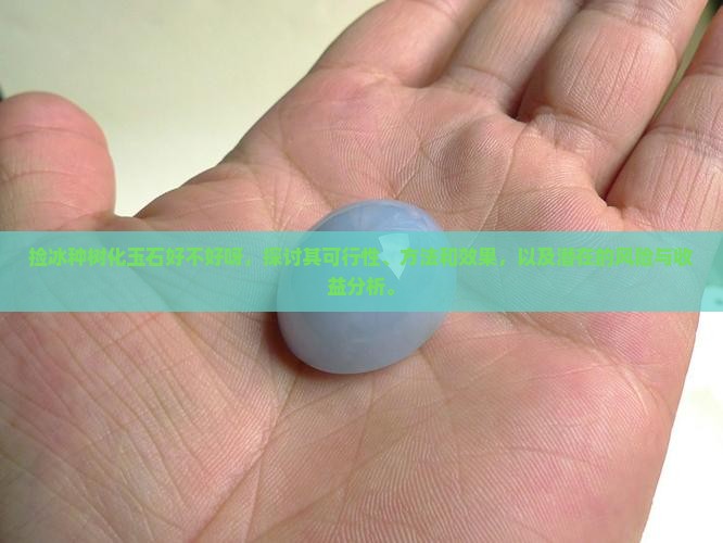 捡冰种树化玉石好不好呀