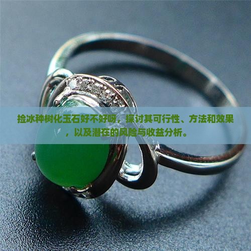 捡冰种树化玉石好不好呀
