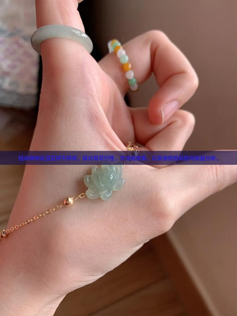 捡冰种树化玉石好不好呀