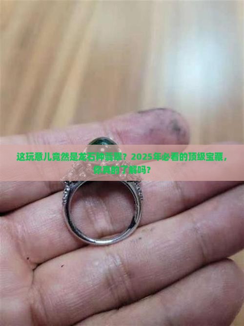 世上顶级的龙石种翡翠